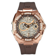 NSQUARE Snake Queen 39mm Automatic N48.8 Chocolate - Watches.com - N48.8